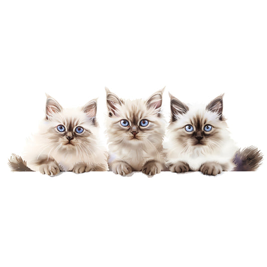 Mug - 11oz - Cat Portrait 33