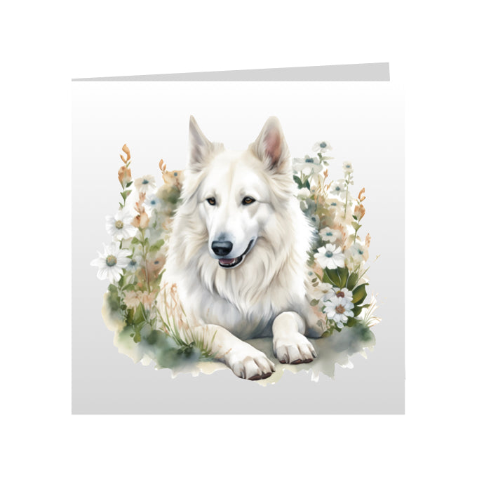 Square Greeting Cards with White Swiss Shepherds (GSD)