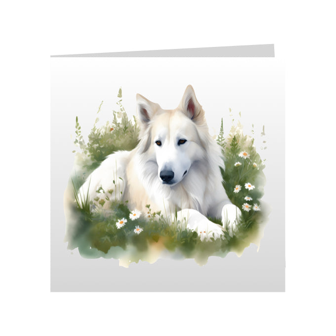 Square Greeting Cards with White Swiss Shepherds (GSD)