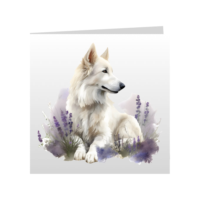 Square Greeting Cards with White Swiss Shepherds (GSD)