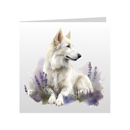Square Greeting Cards with White Swiss Shepherds (GSD)