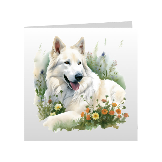 Square Greeting Cards with White Swiss Shepherds (GSD)