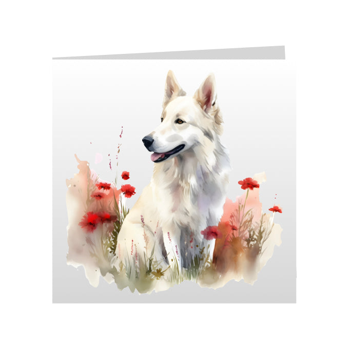 Square Greeting Cards with White Swiss Shepherds (GSD)