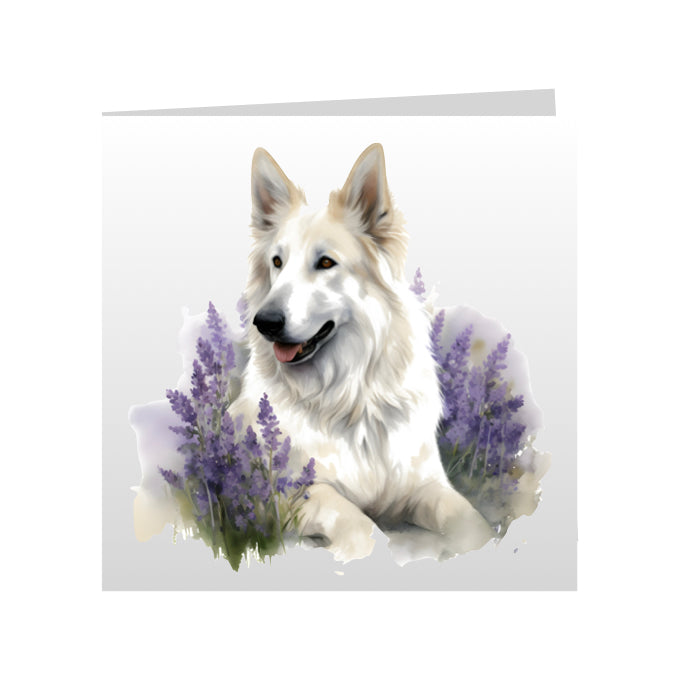 Square Greeting Cards with White Swiss Shepherds (GSD)