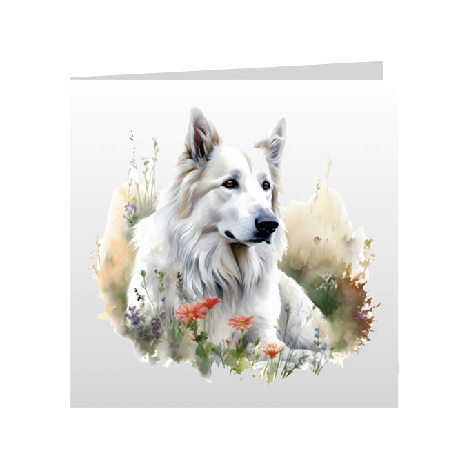 Square Greeting Cards with White Swiss Shepherds (GSD)