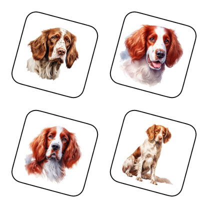 Coasters - 8x different images of Irish Red & White Setter dog breed